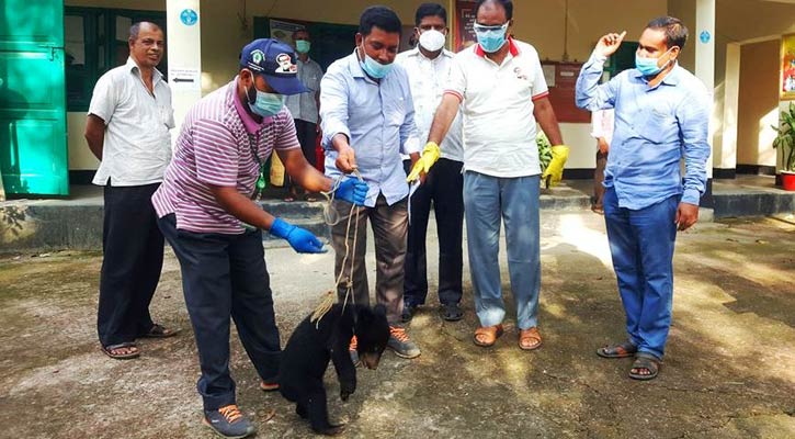 Baluk